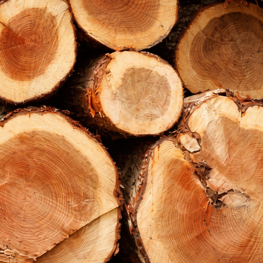 Cedarwood Atlas EO