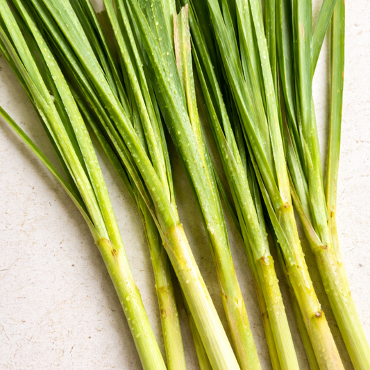 Lemongrass EO